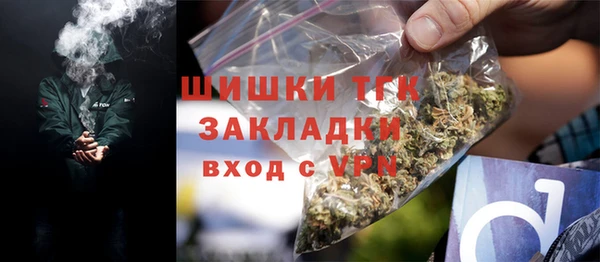 гашик Козельск