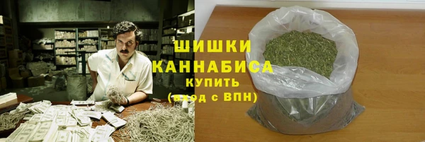 Альфа ПВП Саки
