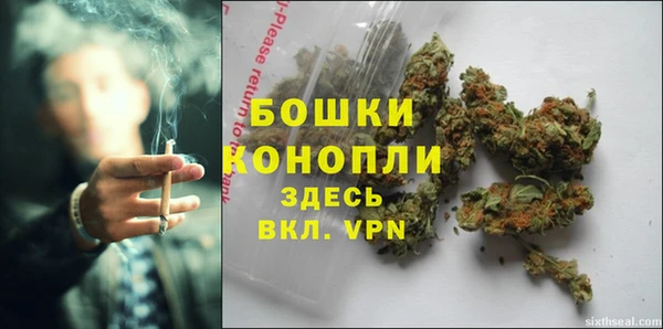 спиды Коряжма