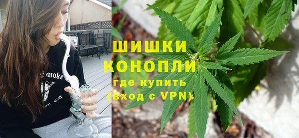гашик Козельск
