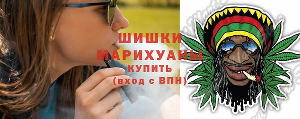 гашик Козельск